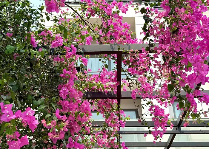 5 Bedroom Royal Lotus Bay Apartment